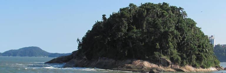 Steel and Solid Paint Art