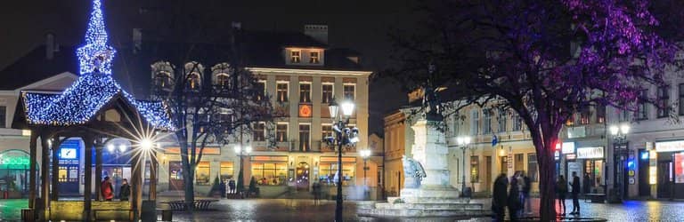 The Frog Statue Well