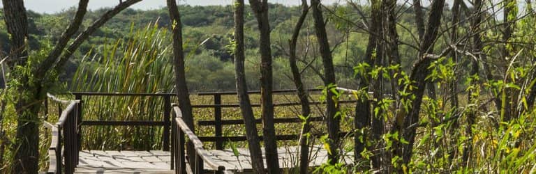 Scenic Hiking Trails