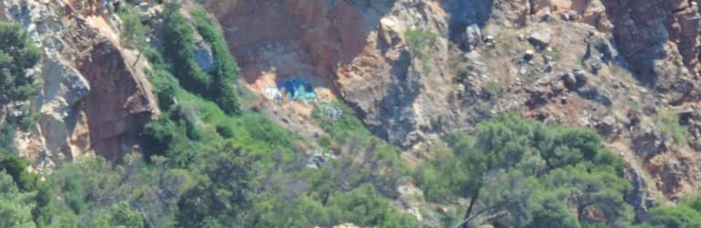 Underwater Marine Life Boards