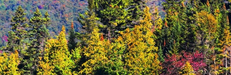 Scenic Fall Hikes