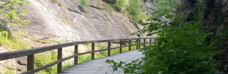 C&O Canal Towpath