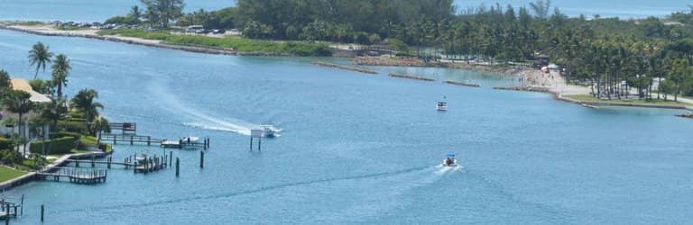 Marine Life Encounters