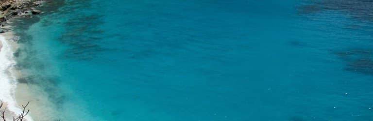 Snorkeling Reef