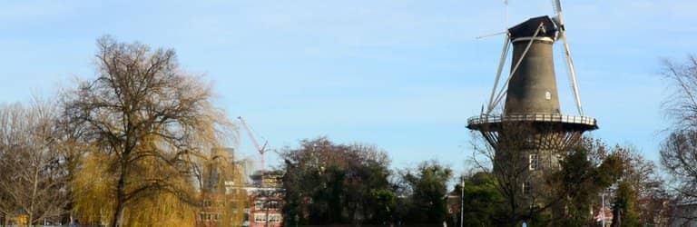 Panoramic City Views