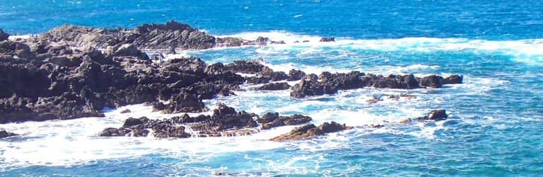 Kapalua Coastal Village Trail