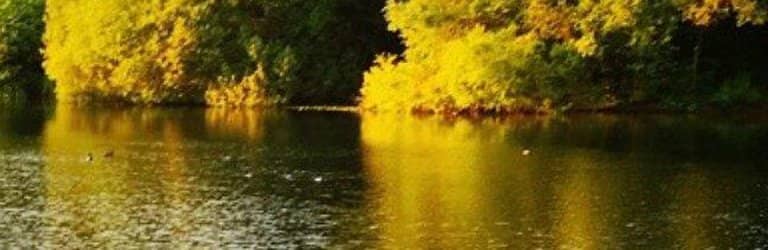 Fairlop Waters Express Train