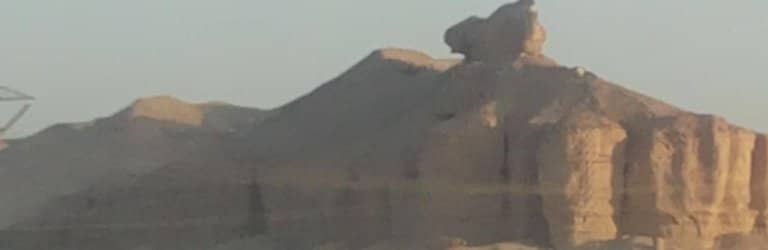 Migratory Bird Haven