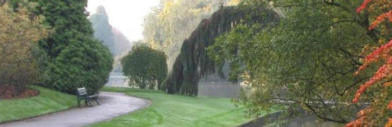 Diverse Tree Collection