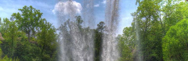 Pioneer Village & Petting Zoo