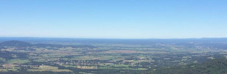 Bushwalk Through Native Scenery