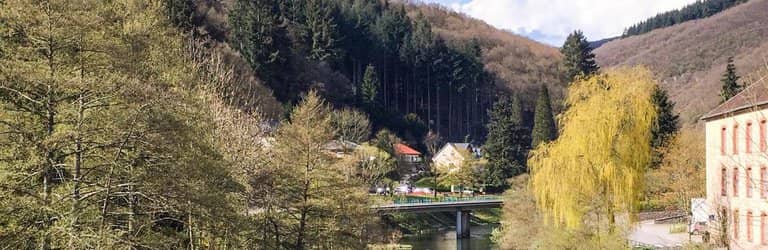 Vianden Castle from Above