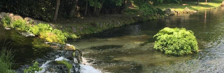 Scenic Waterfalls & Streams