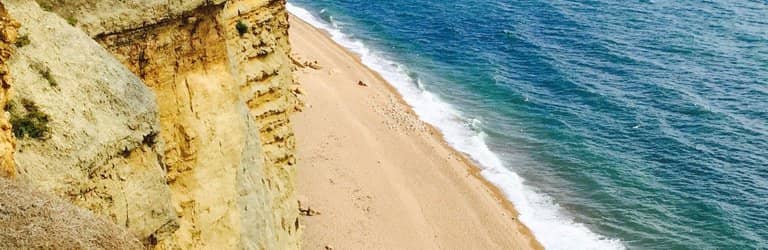 Fossil Hunting Opportunities