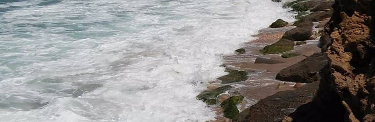 Roman Basilica Ruins