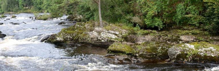 The Old Stone Bridge