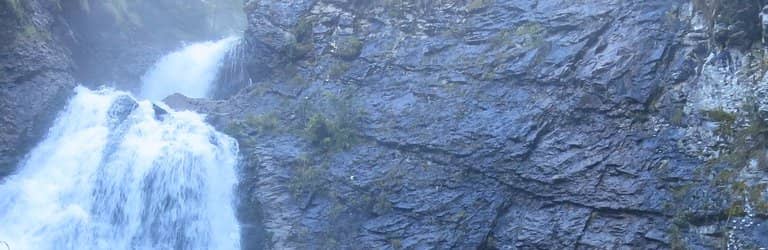 The Fanned-Out Spray