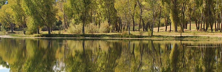 Campground Amenities