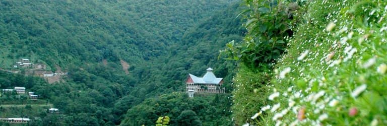 Traditional Angami Homes