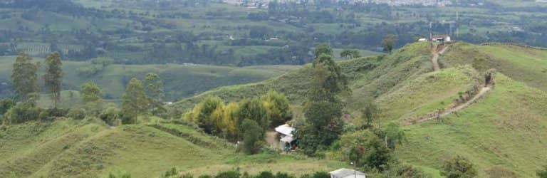 Architectural Wonder