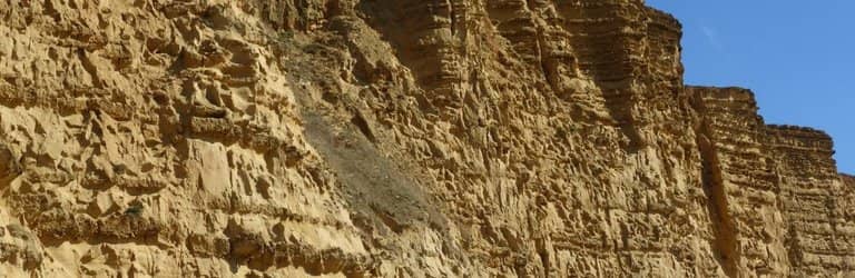 Fossil Hunting