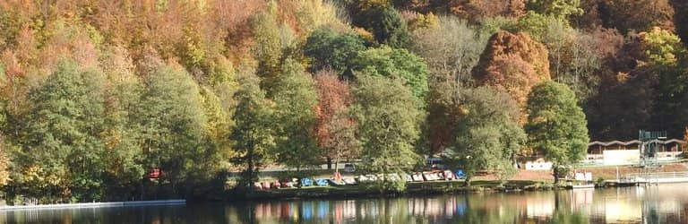 Refreshing Lake Swim