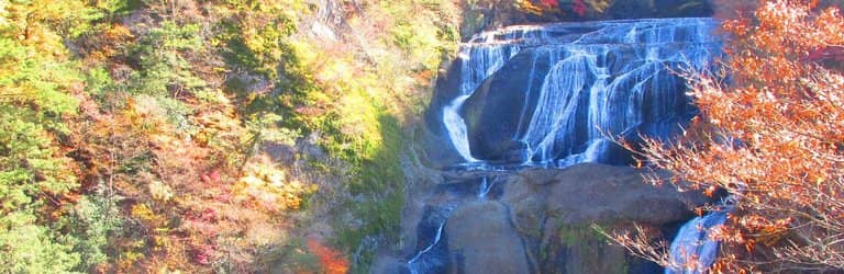 Autumn Foliage Spectacle