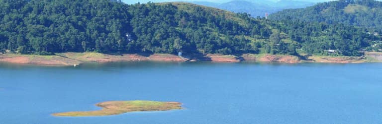 Orchid Lake Resort