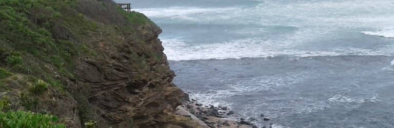 Beachcomber's Paradise