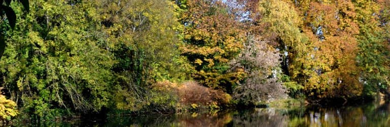 Kid-Friendly Adventures