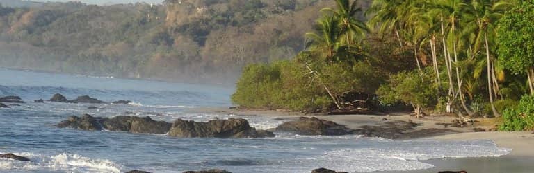 Turtle Conservation Project