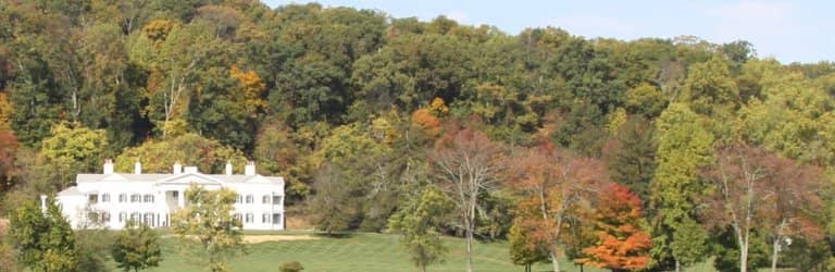 Gardens and Infinity Pool