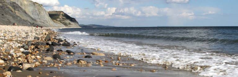 Jurassic Coast Views