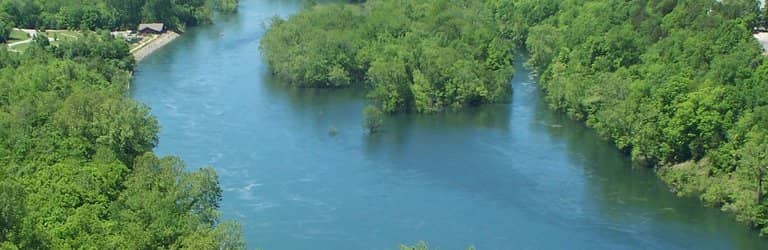 Peaceful Picnic Spot