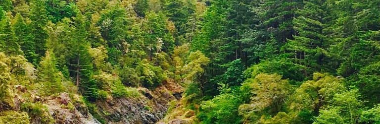 Stout Memorial Grove Trail