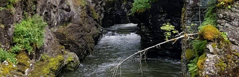 Peaceful Nature Escape