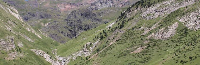 Well-Maintained Stone Path