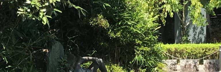 Donko-bune Canal Cruise