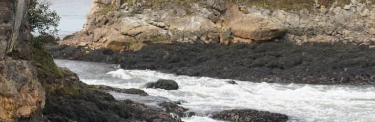 The Plank Restaurant