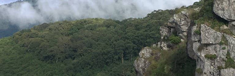 360-Degree Panoramic Vistas