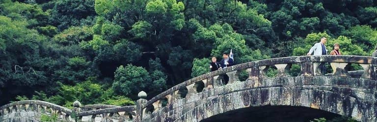 Cherry Blossom Spectacle