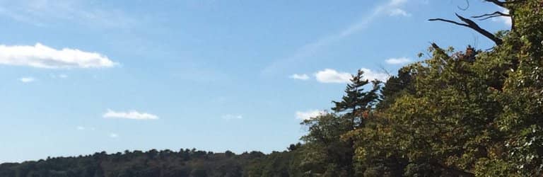 Rocky Coastline Trails