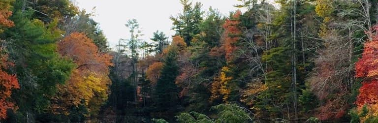 Connemara Farm Goats