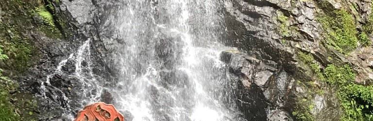 Vertical photo