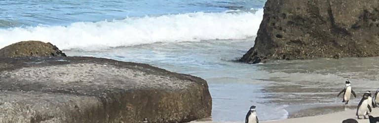 Conservation Insights