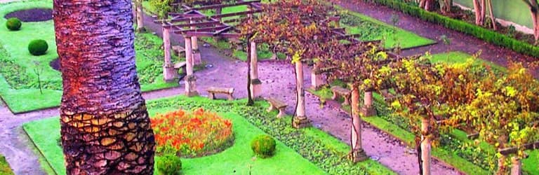 Duck Pond