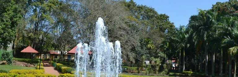 Children's Play Area