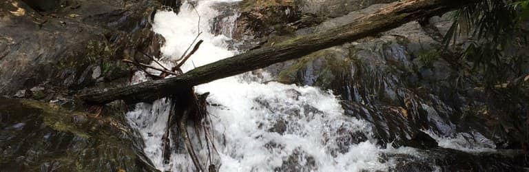 Templer Park Waterfall