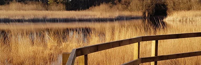 Varied Walking Routes