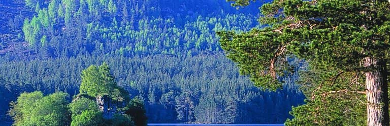 Loch an Eilein Castle